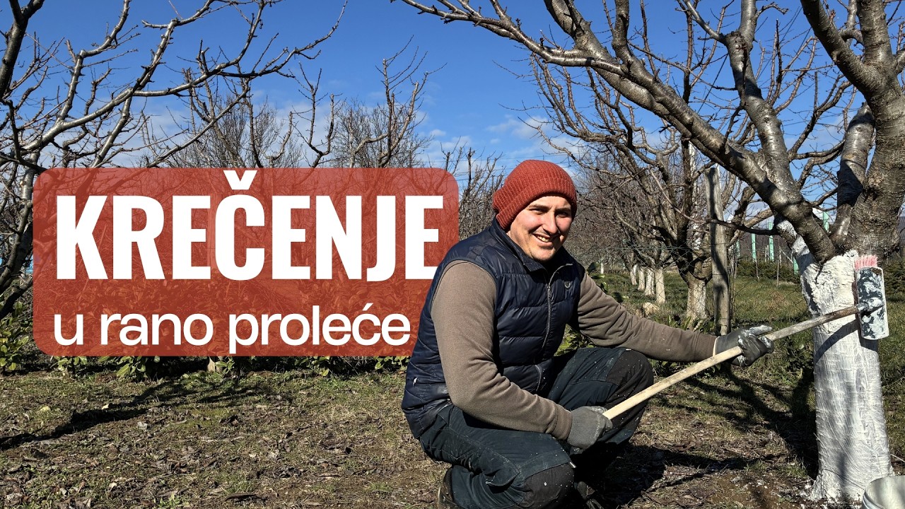 Krečenje voćaka u rano proleće – kada i kako (naš recept)