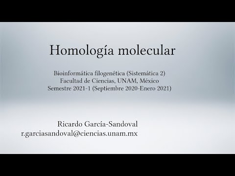 Vídeo: Diferencia Entre Homología Y Similitud En Bioinformática