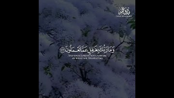 tarek mohammed تلاوة عذبة من سورة هود 🖤💎😴
