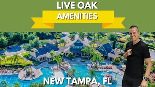 Check the AMAZING amenities in Live Oak Preserve New Tampa FL