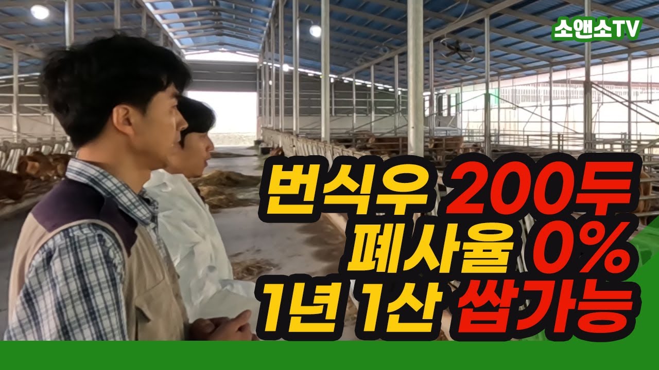 번식우 사육 6년차, 우리가 원하던 게 바로 이거 아닐까요?