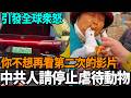 中共人請停止虐待動物，引發全球衆怒