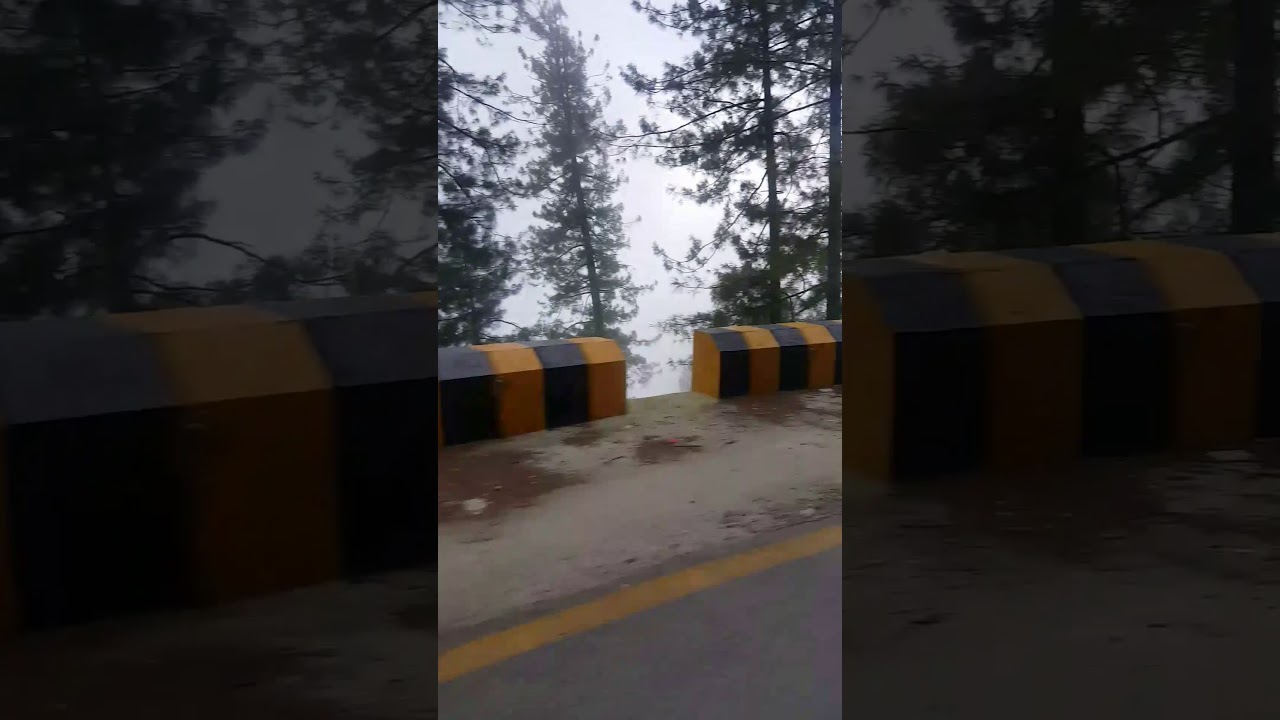 Murree enjoy dance awan grup