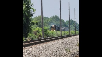 CSX local L356 rips through the weed jungle between mile 80 and 81 on the Erie West Sub! #shorts