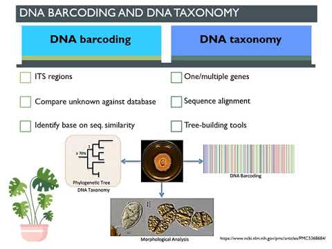 MycologyLesson: Molecular identification of fungi (LKW)