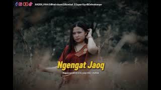 Regae sasak NGENGAT JAOK || cover novi alishba Trend TikTok 2025