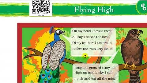 Class 3 EVS, Chapter 8: Flying High