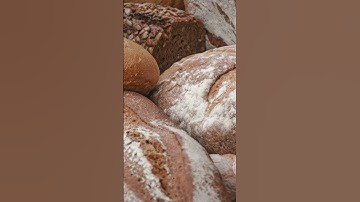 The Mouse and the cat part - 1