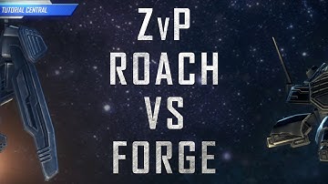Starcraft 2: Safe Zerg Build - ZvP 3 Base Roach vs FFE