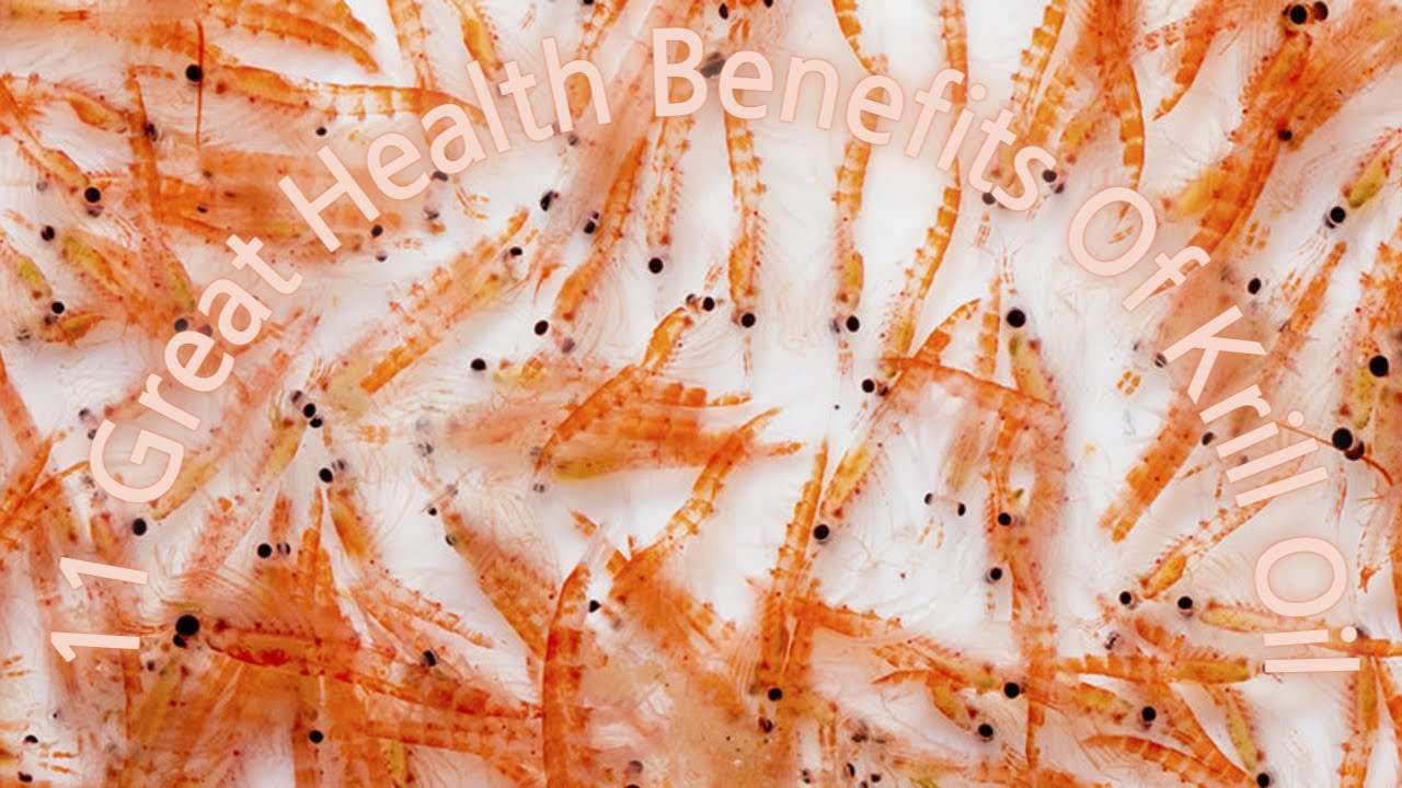 11 Great Health Benefits Of Krill Oil YouTube
