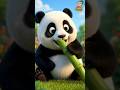 Kids To Brush Your Teeth Panda | Good Habits Dentist Song | Nursery Rhymes Baby Cartoon #shorts
