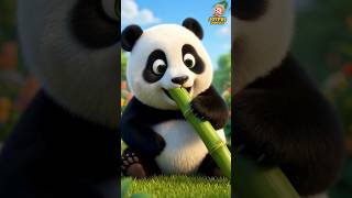 Kids To Brush Your Teeth Panda | Good Habits Dentist Song | Nursery Rhymes Baby Cartoon #shorts