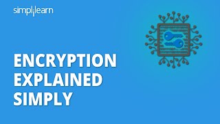 Encryption Explained Simply | What Is Encryption? | Cryptography And Network Security | Simplilearn