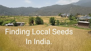 Finding Local Seeds In India