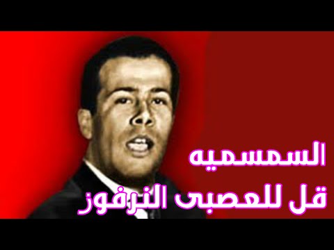 سيد الملاح قل للعصبى النرفوز
