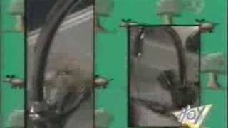 Nota Televisa Niños 2000