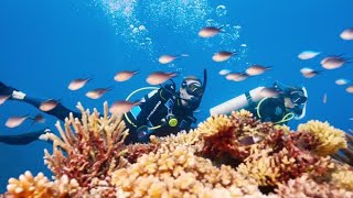 PADI’s 60th anniversary