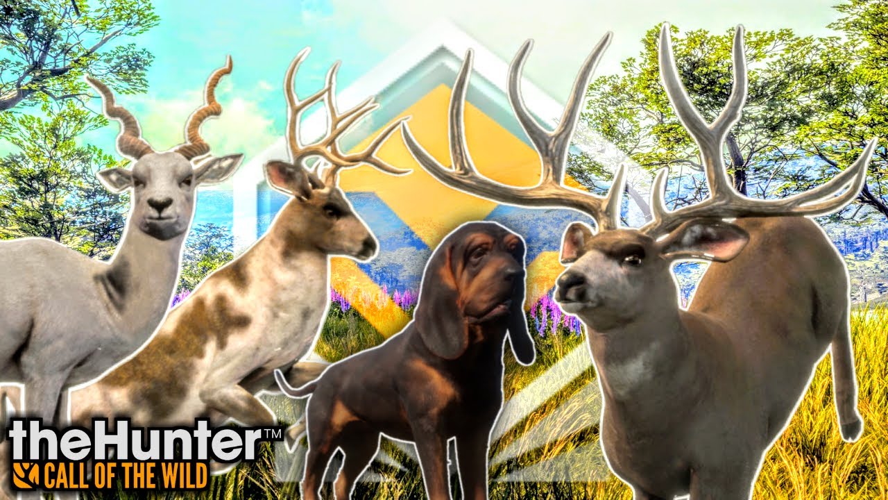 Max Weight Iron Sight Diamond Mule Deer + Rares theHunter Call of the