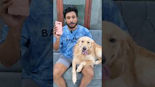 සියුස් කරපු වැඩේ #goldenretriever #dogreaction #funnydogs
