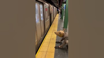 Subway rat