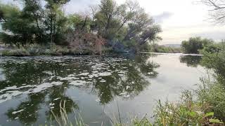 Relaxing Nature Sounds with River flow | 2h 30m
