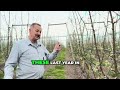 Should You Graft or Replant? Here’s What We Did