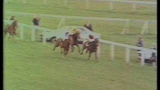 1982 Highland Spring Derby Trial Stakes