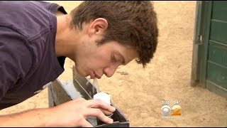 Dr. Max Gomez: Teens And Water