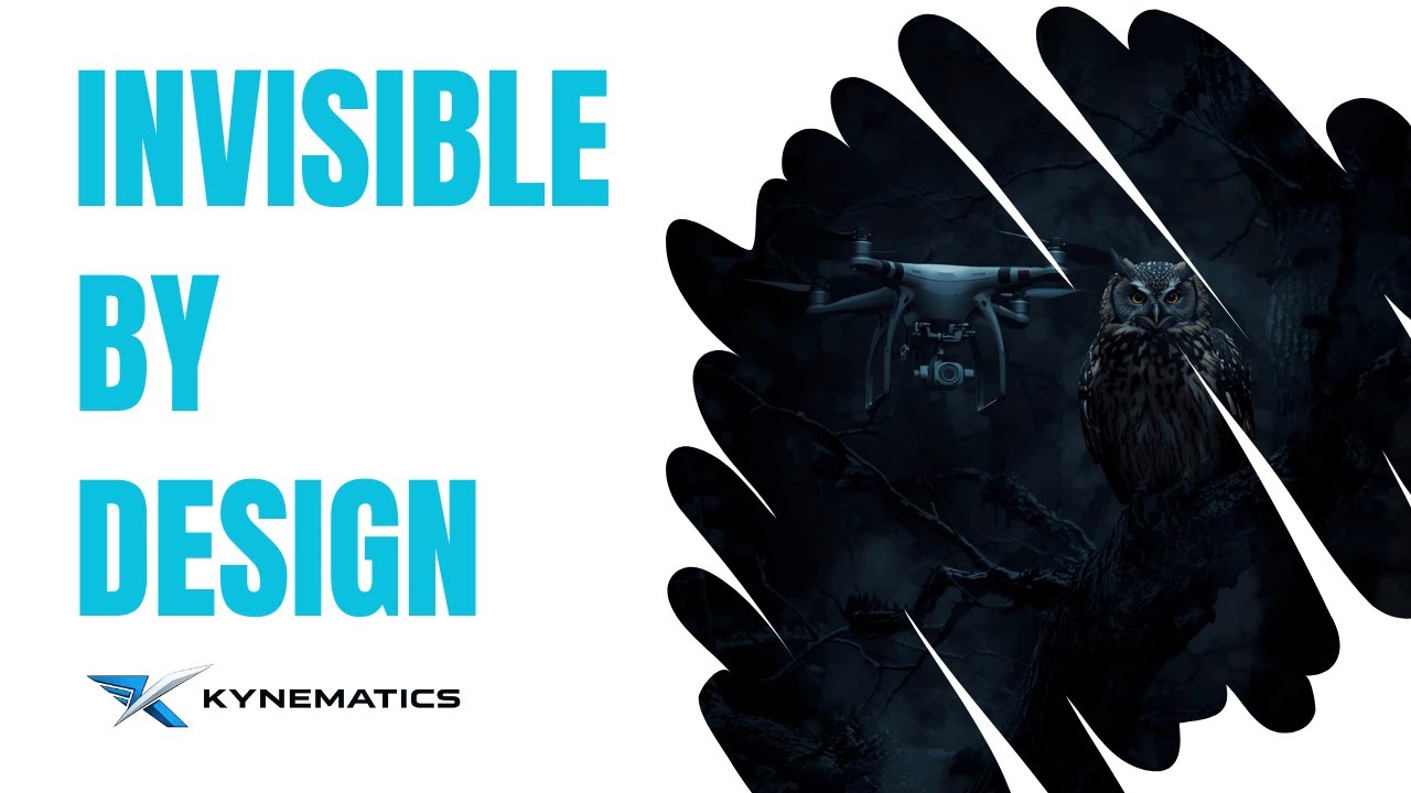 Bio Inspired Stealth UAVs — Learning From Nature