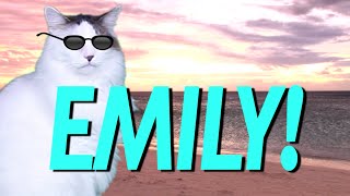 Happy Birthday Emily - Epic Cat Happy Birthday Song