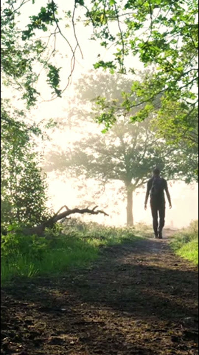 Someone You Loved - Conor Maynard #nature #views #travel #love #run #beautiful