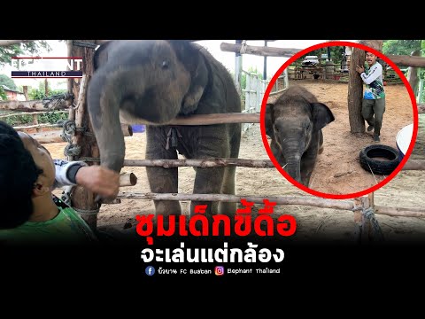 ผลสลากกินแบ่งรัฐบาล วันที่ 1 พย. 2567