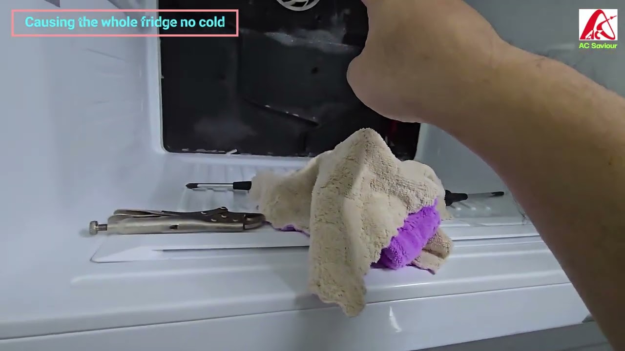 E FF Fridge LG Freezer fan motor faulty causing the fridge very noisy & fridge no cold 20250702