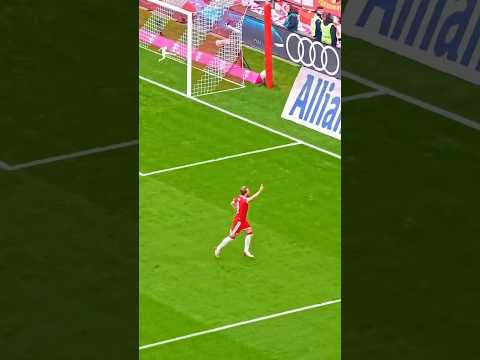 The Harry Kane Show 🏴󠁧󠁢󠁥󠁮󠁧󠁿👏