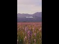 Pockets Of Peace Across Idaho