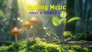 BEAUTIFUL MORNING MUSIC  Boost Positive Energy | Peaceful Morning Meditation Music For Waking Up