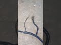 اصلاح ضفيره مكنه لانوس