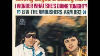 Tommy Boyce &amp; Bobby Hart - I wonder what she&#39;s doing tonight