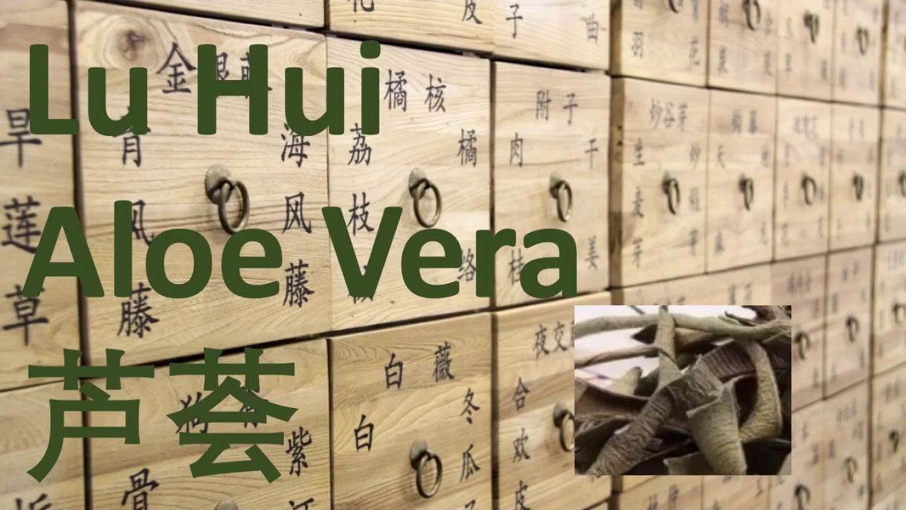 70 Chinese Herbal Medicine, Traditional Chinese Medicine, Herb Lu Hui