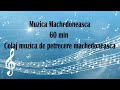 Muzica Machedoneasca - 60 min -colaj muzica de petrecere machedoneasca