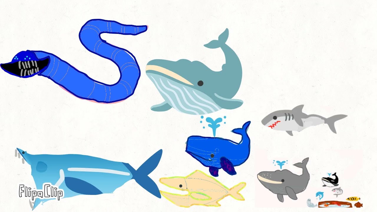 Sea monster size comparison