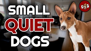 Top 10 Small Dog Breeds That Don't Bark... Much 📢