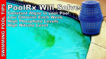 PoolRx will Solve: Algae Every Week, Constant Low Chlorine Levels, High Phosphates