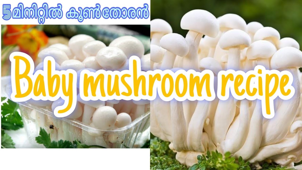 Baby mushroom recipe | yummy dish | Indulekshmi madhan nair