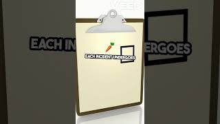 Boost Patient Safety  Incident Reporting Explained!