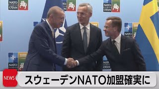 スウェーデンNATO加盟確実に　トルコが合意（2023年7月11日）