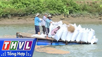 THVL | Nông thôn ngày nay: Tái cơ cấu nông nghiệp gắn với xây dựng nông thôn mới