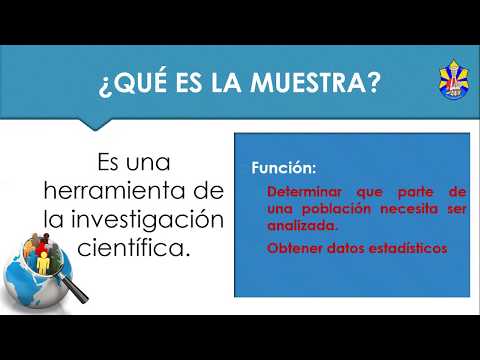 Técnicas de Investigación \