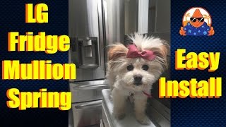 LG Fridge Spring Install How to DIY Replace Refrigerator Mullion Spring LMX28988ST - NachoTV