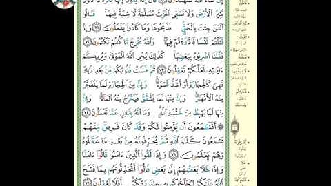 سورة البقرة ( الوجه ١١) من الآية ٧٠ - ٧٦ ، الشيخ إبراهيم الأخضر ( تجويد )
